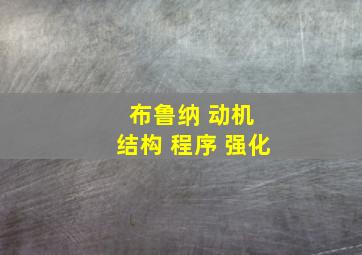 布鲁纳 动机 结构 程序 强化